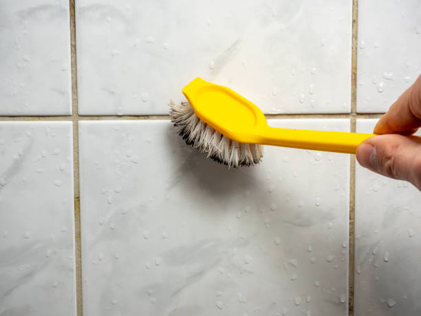 Best Mold Remediation  in Forest Park, GA