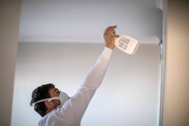 Best Best Mold Removal Companies  in Forest Park, GA