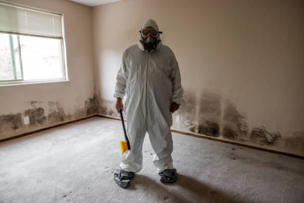 Home Mold Removal in Forest Park, GA